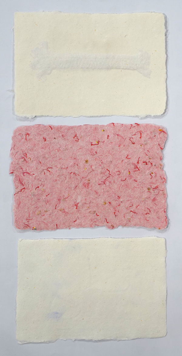 Taqwa Al Naqbi, Preserved Talli , 2023