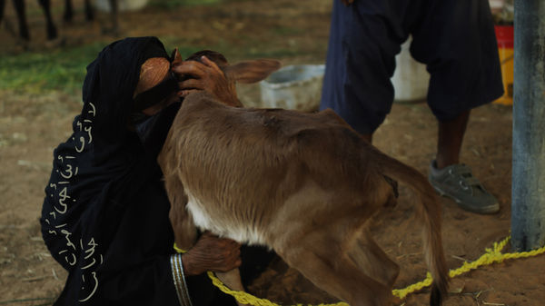 Nujoom Alghanem, Our Times | أوقاتنا, 2023