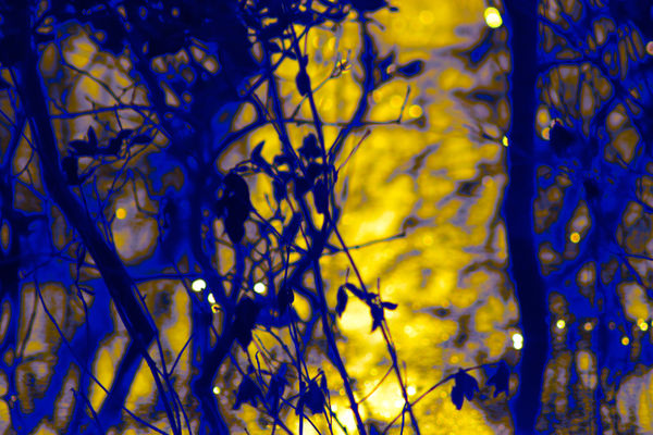 Ruqaya Al Hashmi, Can you see me between the lines?, 2022