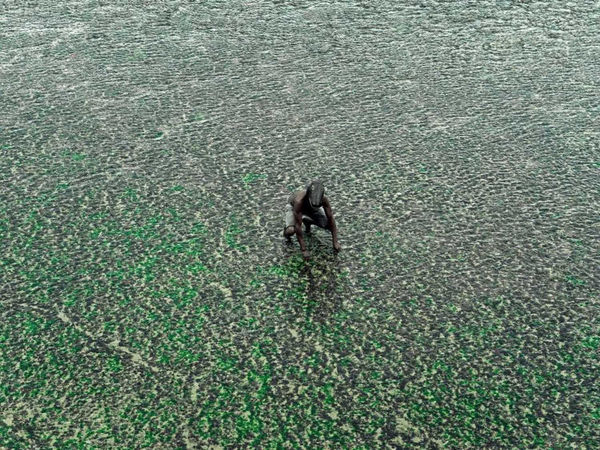 Filipe Branquinho, Bestia V, 2021