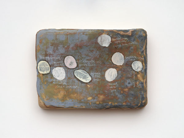 Su, Yu-Xin, Shelling, 2024