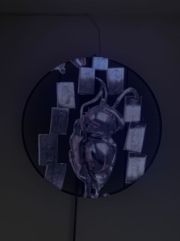 Rachel Rossin, For the Totalists, 2025