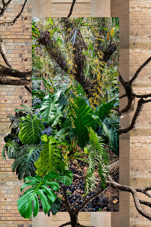 Claudia Jaguaribe, Jardim Imaginário, 2020