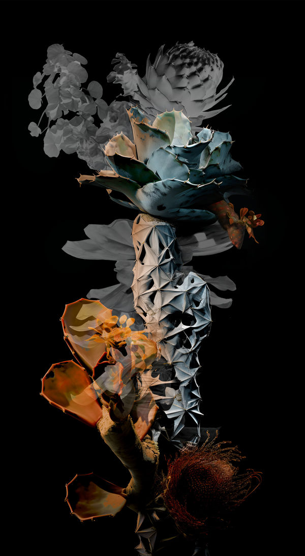 Claudia Jaguaribe, Série Viveiro, 2024