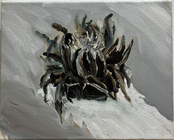 Raquel Schembri, 2014