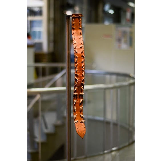 Dyana Santos, Coluna - série Crisálias, 2014