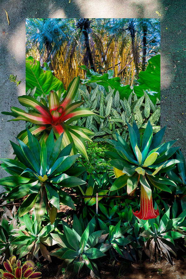 Claudia Jaguaribe, Jardim Imaginário, 2020