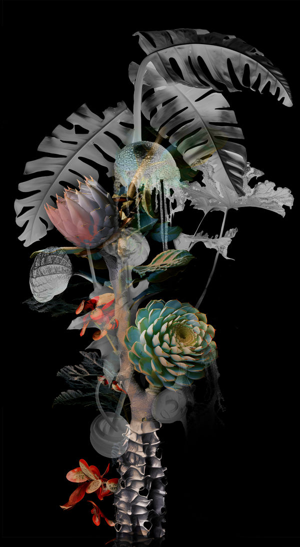 Claudia Jaguaribe, Série Viveiro, 2024