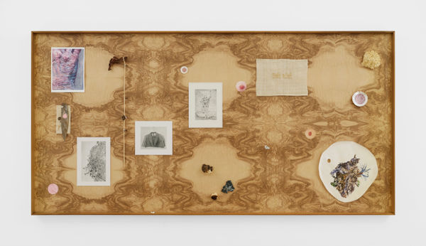 Kang Seung Lee Untitled (Skin, Constellation 5), 2024 Graphite, watercolor, acrylic, paper, goatskin parchment, mother of pearl buttons, antique 24K gold thread, sambe, fern fossil from Carboniferous period, wild olive burl, maple burl, acasia thorn, straw braid, drift wood, bookbinding cord, dried seeds, dried palm leaf, piercing needle, pebble, pearls, silver wire, ash olive burl veneer mounted on Dibond, walnut frame 48 1/2 x 96 1/2 x 2 1/4 in (123.2 x 245.1 x 5.7 cm)