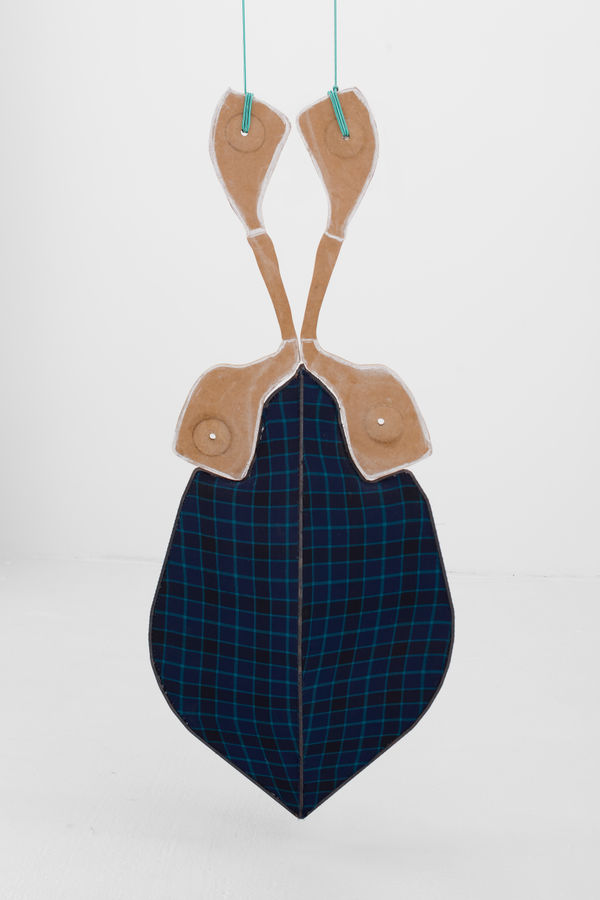 Fran Van Coppenolle, H17G17, 2021