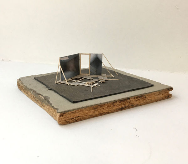 Yoel Pytowski, Backforward downsizing, 2018