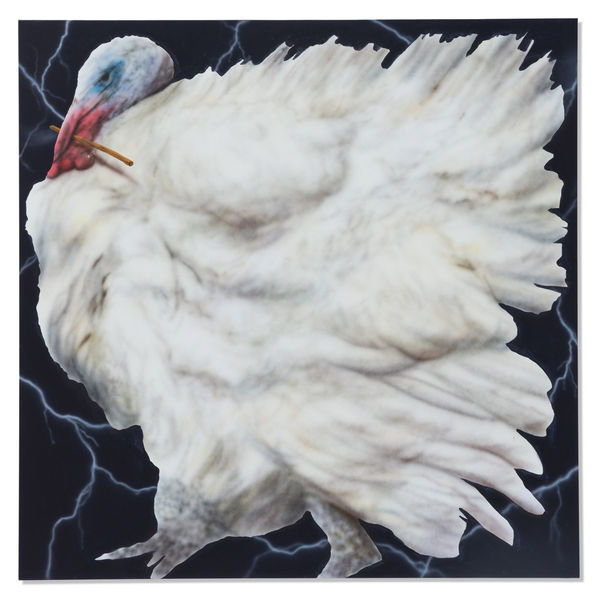 Martin Kacmarek, Turkey, 2022