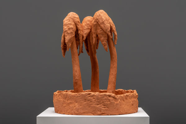 Daan Gielis, Three weeping palms, 2022