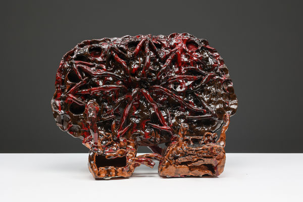 Tom Volkaert, For this amount of money you can buy 100 pair of crocs (choose wisely) , 2021