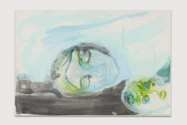 Sophie Z. S. Suaning, Tungsøvn, 2026