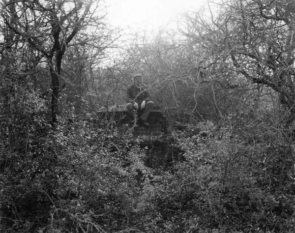 Saul Fletcher, Untitled #246 (brickworks s/p), 2012