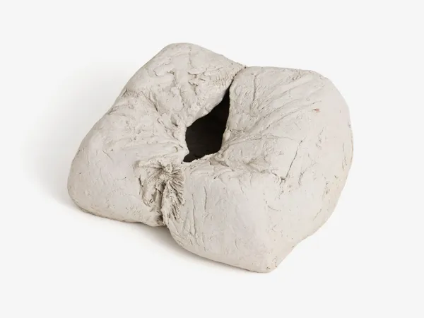 Hannah Wilke, Foraminifer, 1961-63