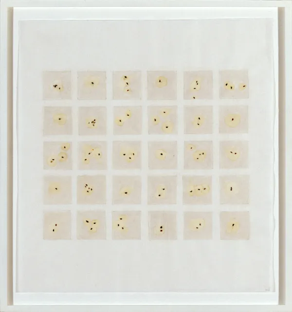 Michelle Stuart, Seed Calendar: AGH, 1992