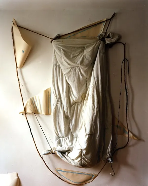 Saul Fletcher, Untitled #263 (Blue star), 2013