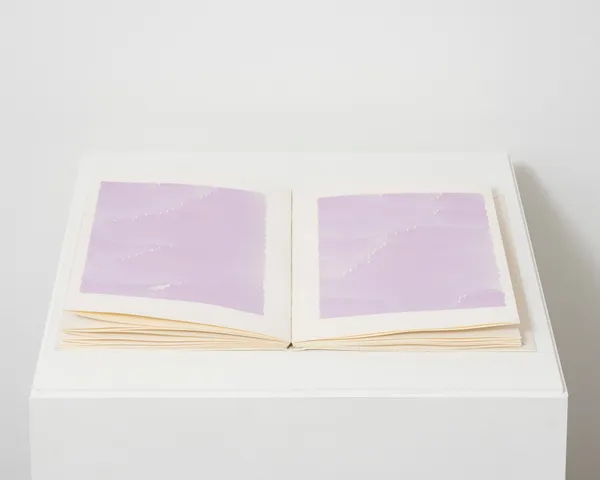 Irma Blank, Radical Writings, Dal libro totale, 1984