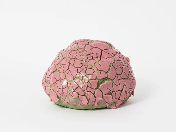 Takuro Kuwata, Untitled, 2016