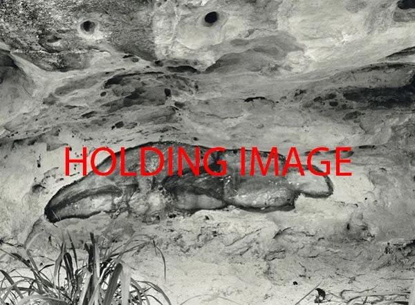 Ana Mendieta, La Venus Negra (The Black Venus), 1981