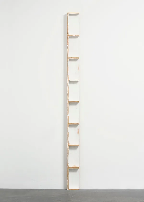 Fernanda Gomes, Untitled, 2013