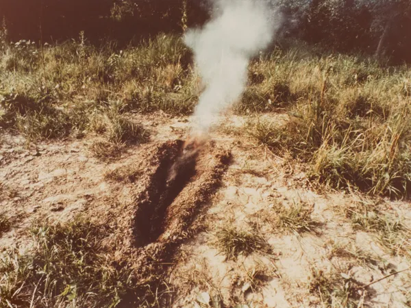 Ana Mendieta, Untitled (Silueta Series), c. 1978