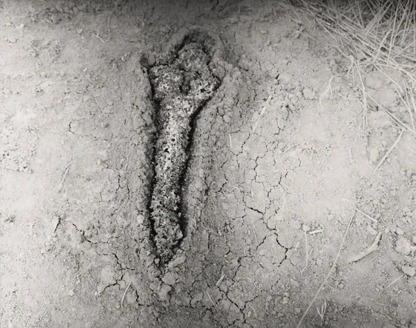 Ana Mendieta, Gunpowder Silueta (Fundamento Palo Monte), 1980