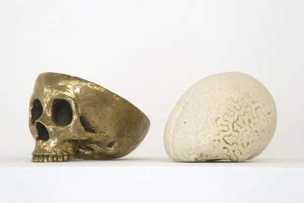 Matt Johnson, Coral Brain, 2009