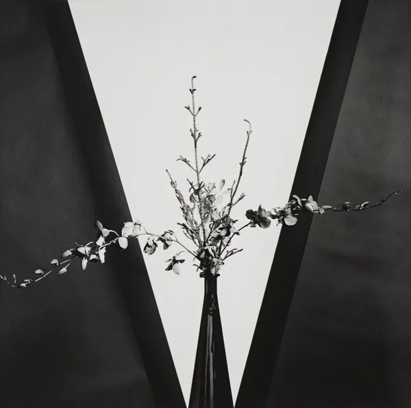 Robert Mapplethorpe, Flower, 1981
