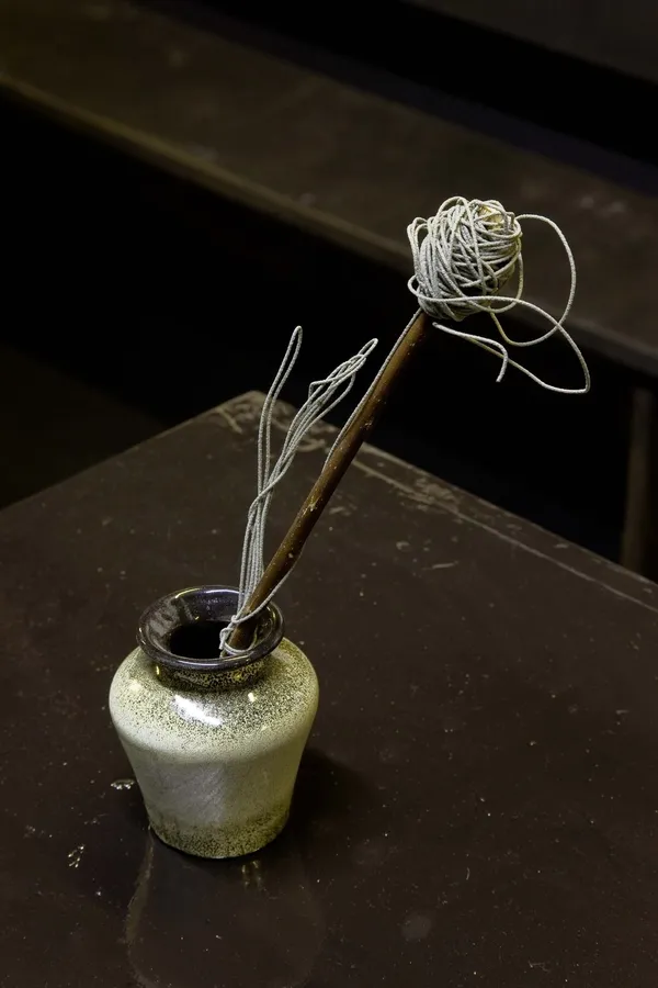 Thomas Zipp, W.D.C.H. 5, 2008