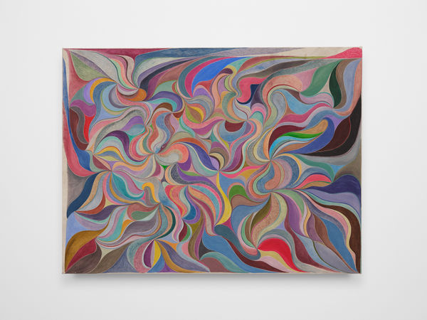 Chris Johanson Untitled, 2022 Acrylic and household paint on canvas 47 1/2 x 63 in 120.7 x 160 cm