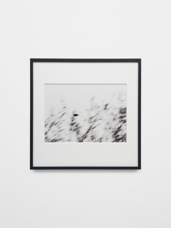 Trevor Paglen, Near Cemetery Road (undated), 2024