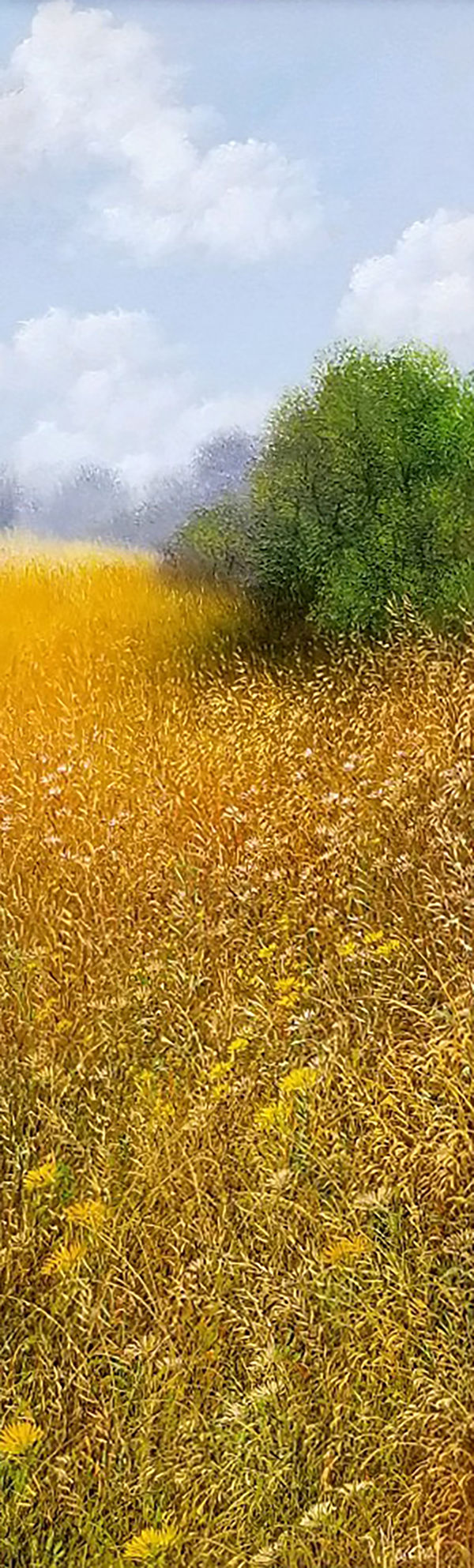 Patrice Marchal, Fin d'Ete