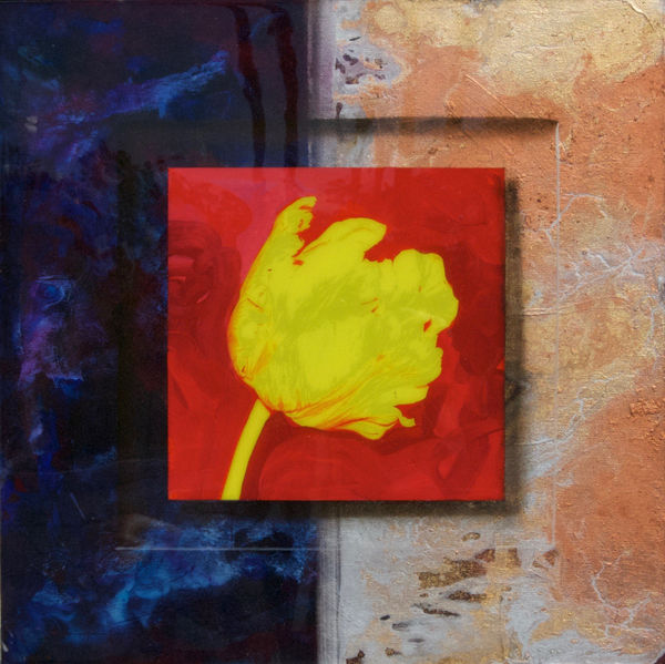 James Jensen, Yellow Tulip 00129