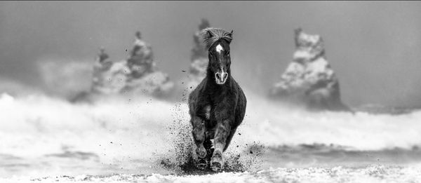 David Yarrow, My Perfect Storm