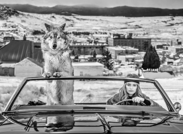 David Yarrow, Bonnie And Clyde