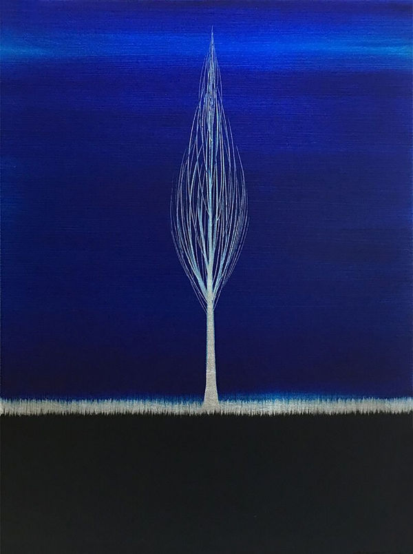 Hamilton Aguiar, 17073 Solitude