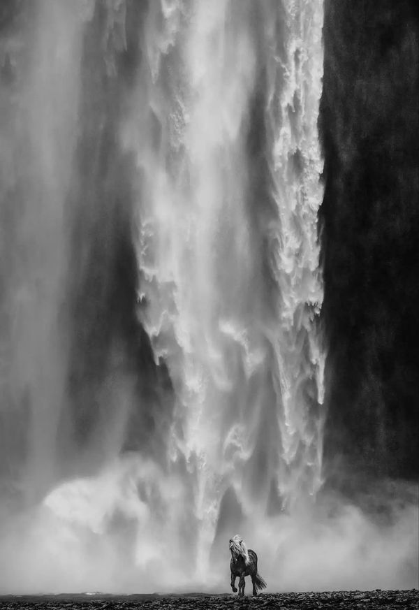 David Yarrow, Wonderwall