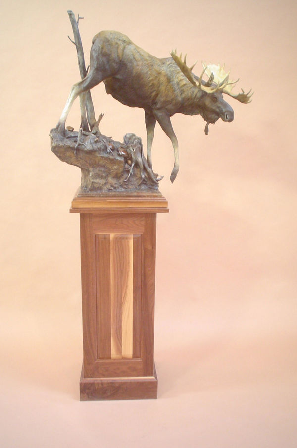 Sam Terakedis, Bull in the Burn