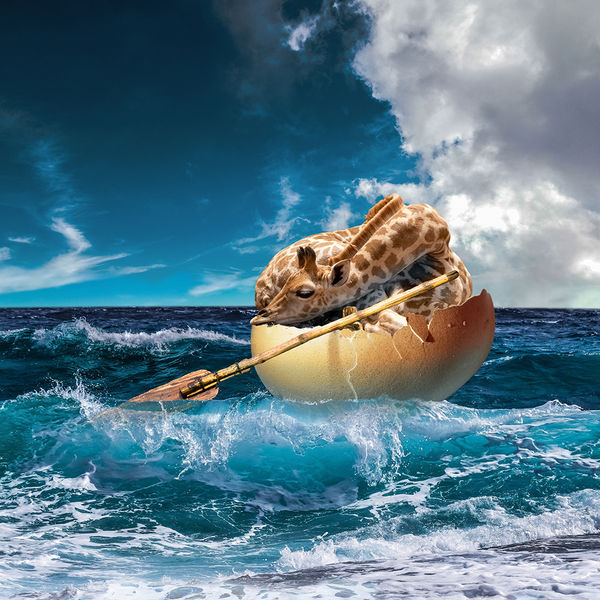 Antal Goldfinger, Against All Odds