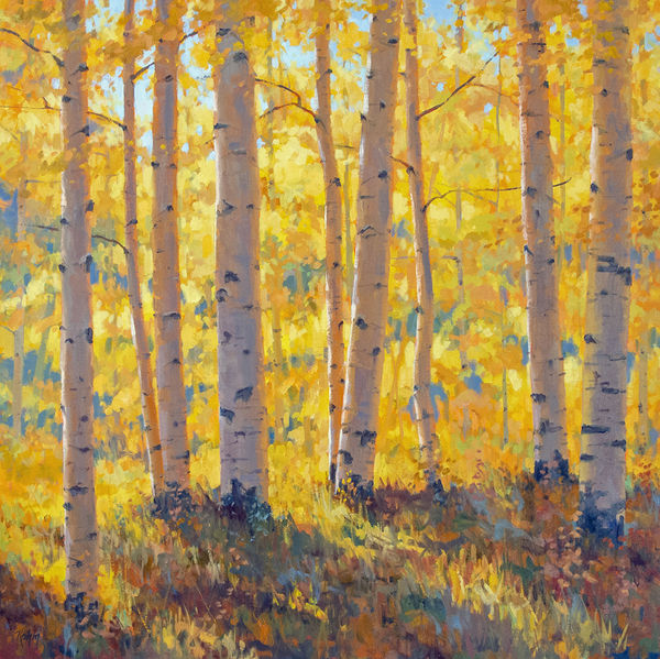 Bob Rohm, Morning Light