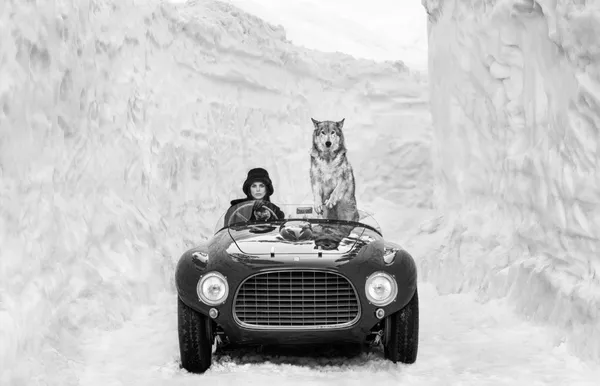 David Yarrow, 1953