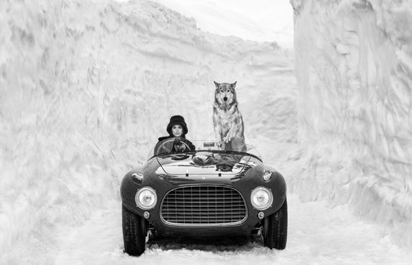 David Yarrow, 1953