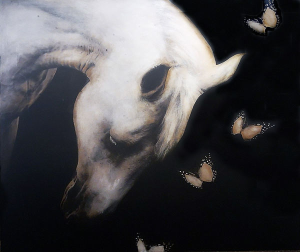 Anke Schofield, White Butterflies