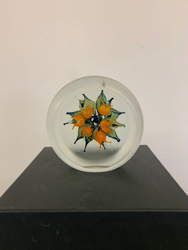 Tim Lotton, Orange Bleeding Heart Disc