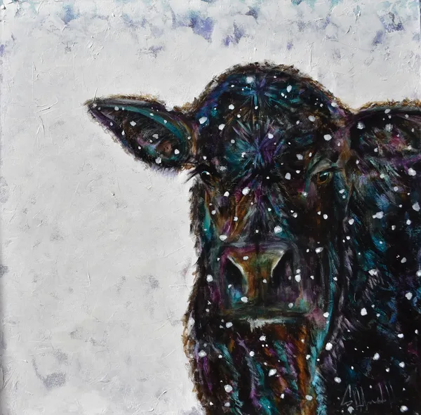 Shawndell, Winter Wisdom