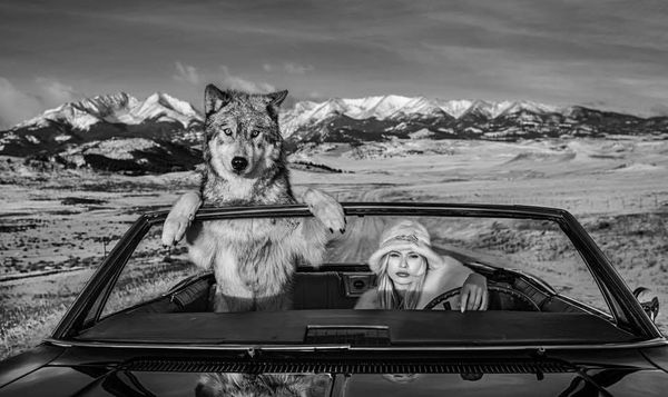 David Yarrow, Once Upon a Time in the West