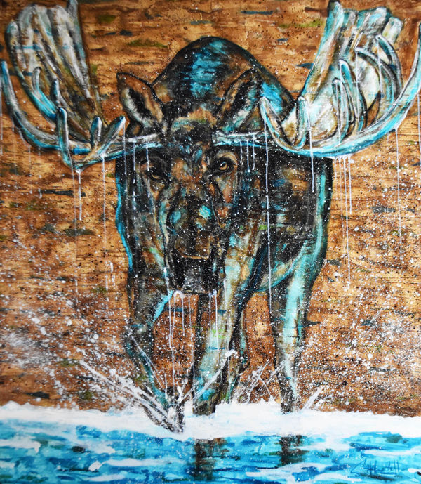 Shawndell, Summer Cool Down